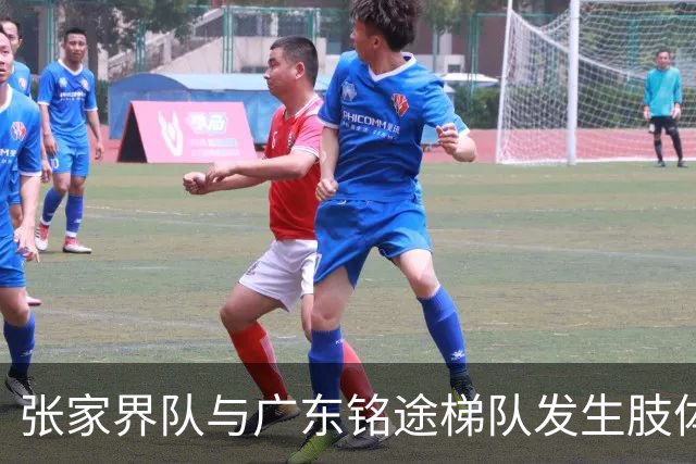 张家界队与广东铭途梯队发生肢体冲突，湖南省足协：暂停涉事人员参加省内一切足球活动