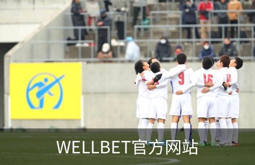 关于WELLBET官方网站